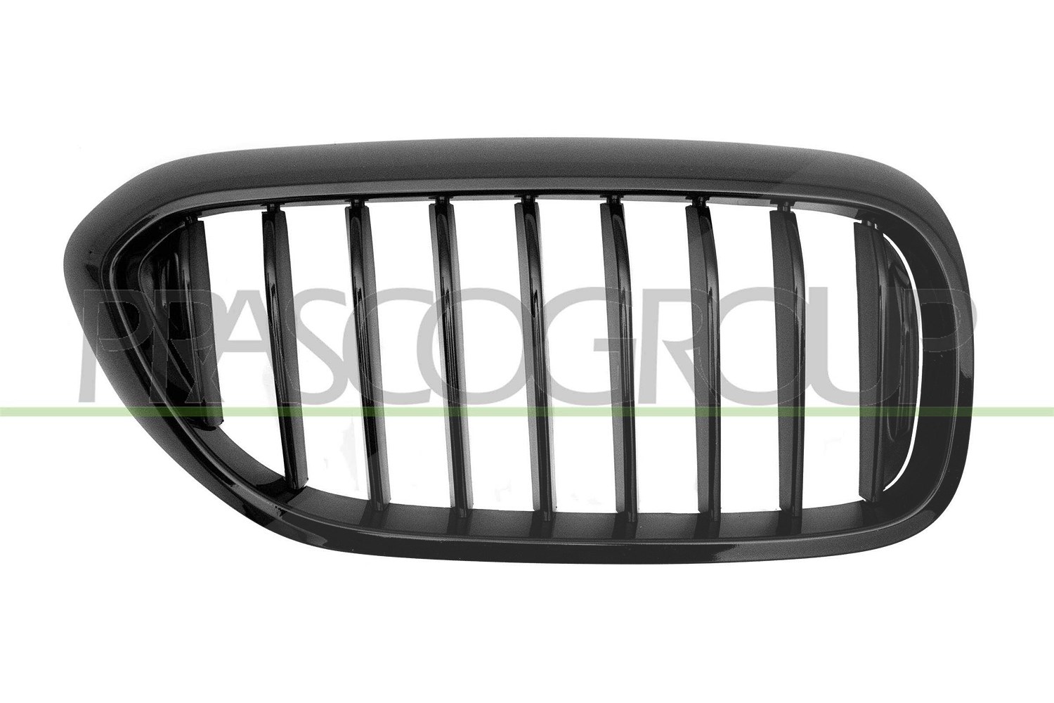 Prasco Kühlergitter [Hersteller-Nr. BM0532003] für BMW