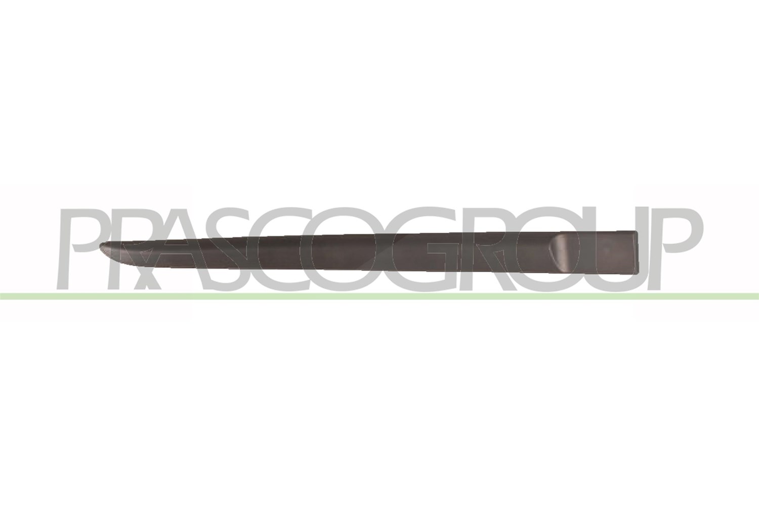 Prasco Zier-/Schutzleiste, Tür [Hersteller-Nr. RN3251453] für Renault