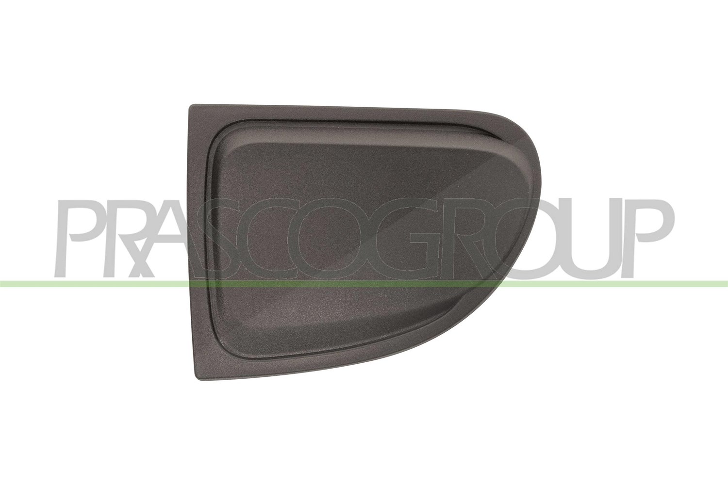 Prasco Zier-/Schutzleiste, Kühlergitter [Hersteller-Nr. FT0602116] für Fiat