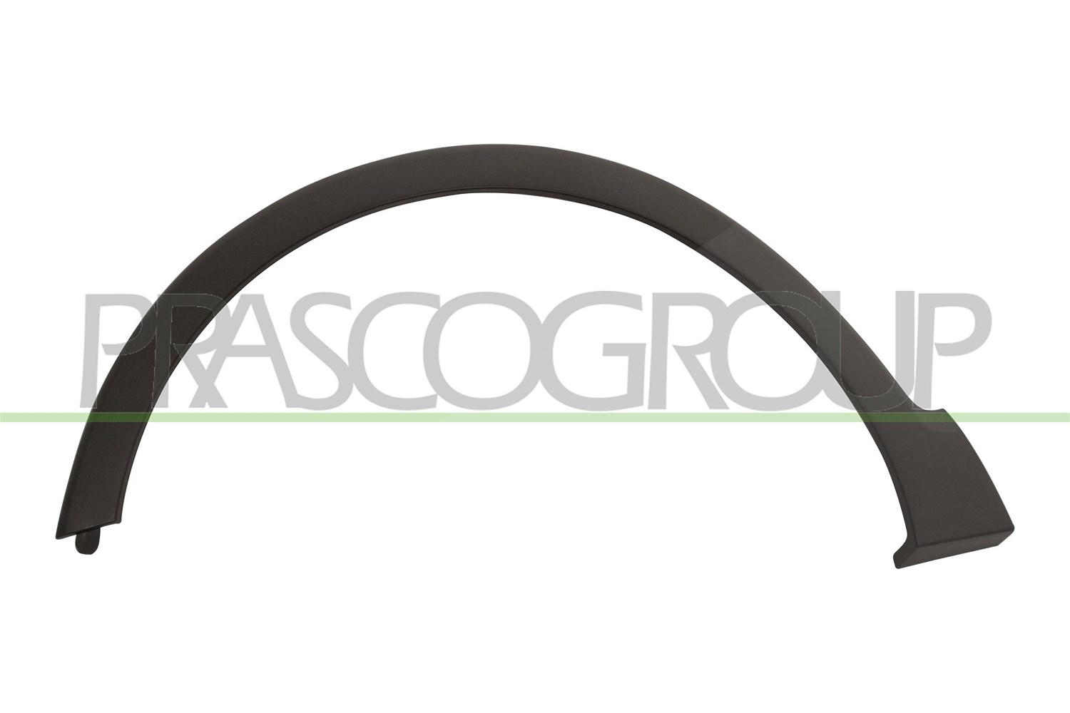 Prasco Zier-/Schutzleiste, Kotflügel [Hersteller-Nr. RN7001582] für Renault
