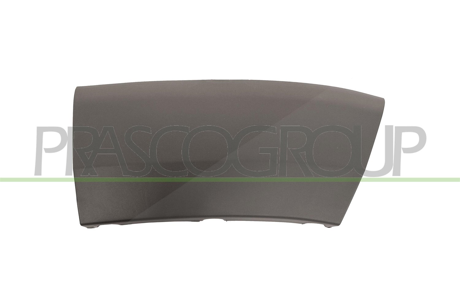 Prasco Zier-/Schutzleiste, Kotflügel [Hersteller-Nr. FT9301573] für Fiat