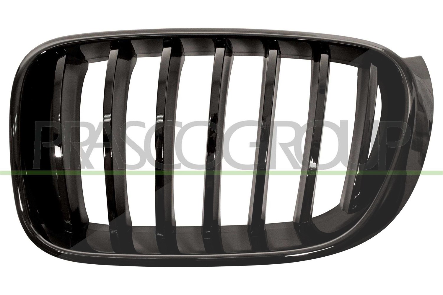 Prasco Kühlergitter [Hersteller-Nr. BM8072004] für BMW