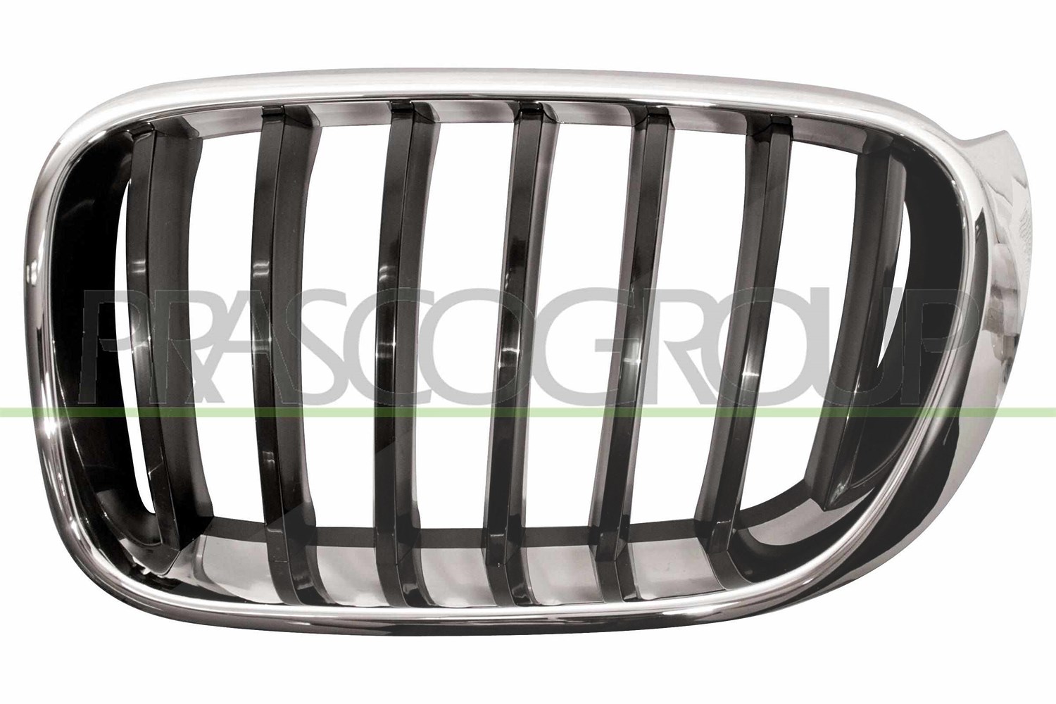 Prasco Kühlergitter [Hersteller-Nr. BM8062004] für BMW