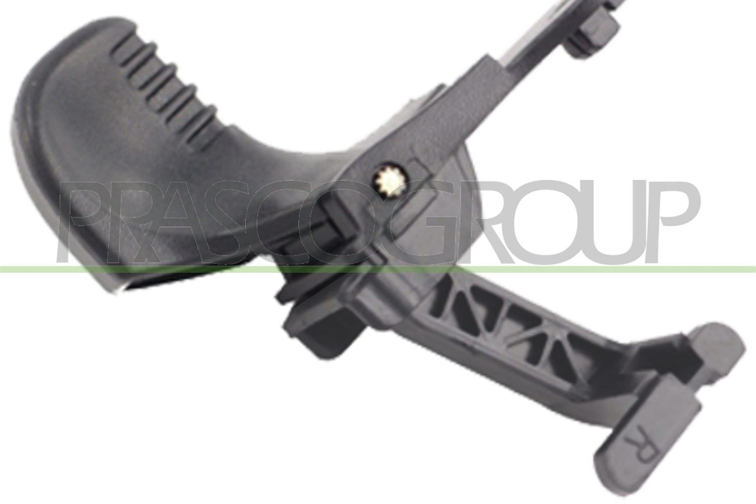 Prasco Türgriff [Hersteller-Nr. RN3048001] für Renault