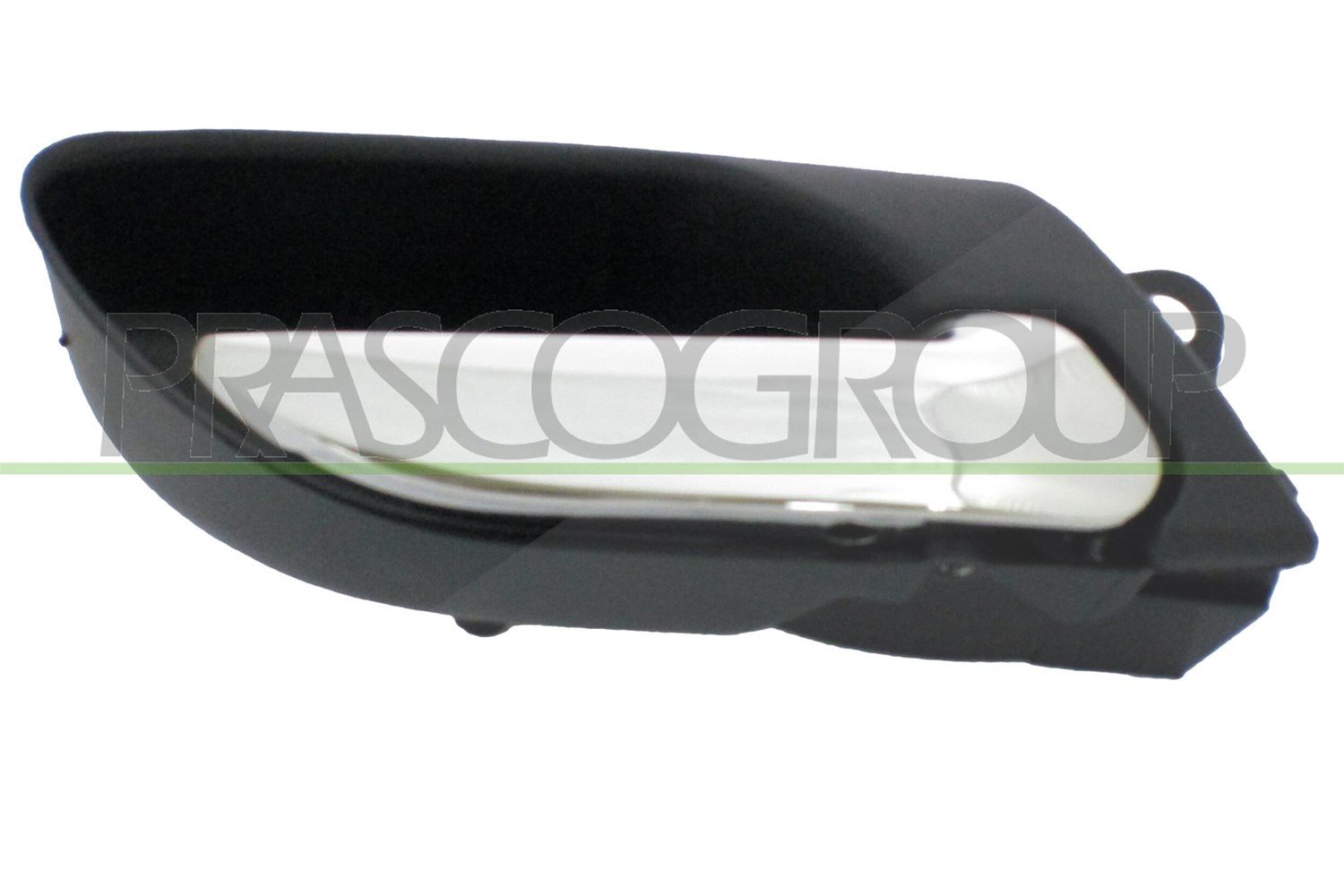 Prasco Türgriff [Hersteller-Nr. BM0188401] für BMW