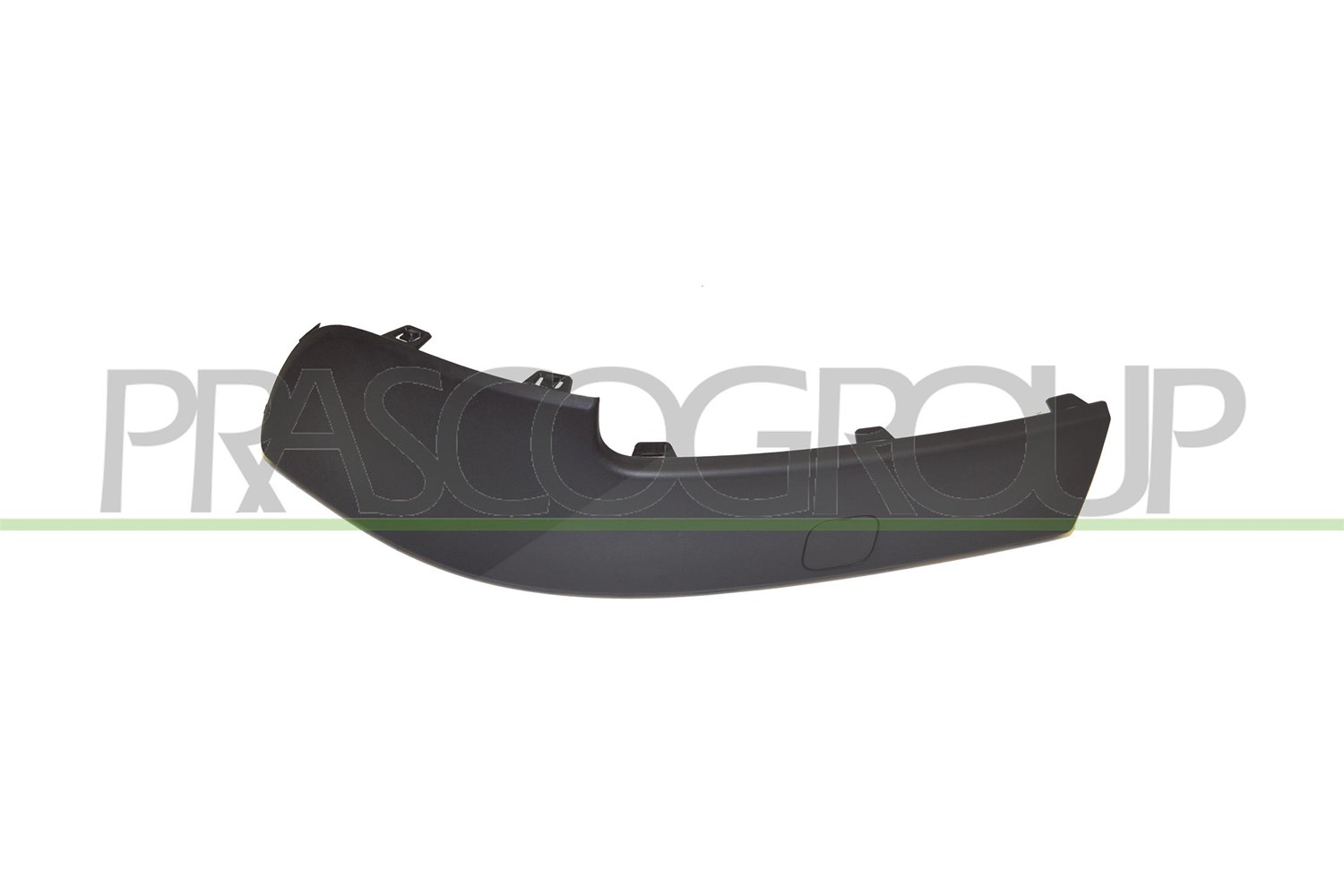 Prasco Zier-/Schutzleiste, Stoßfänger [Hersteller-Nr. RN0321243] für Renault