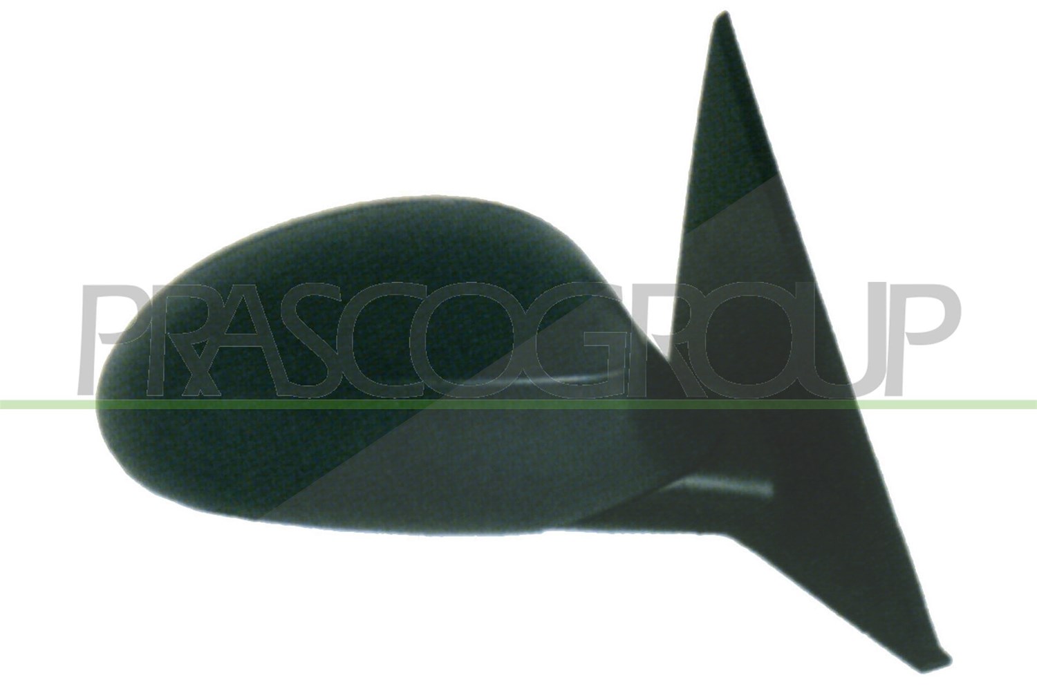 Prasco Außenspiegel [Hersteller-Nr. BM1207313] für BMW