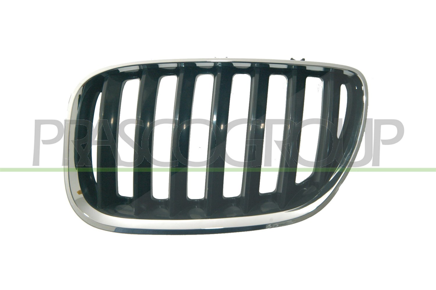 Prasco Kühlergitter [Hersteller-Nr. BM8202024] für BMW