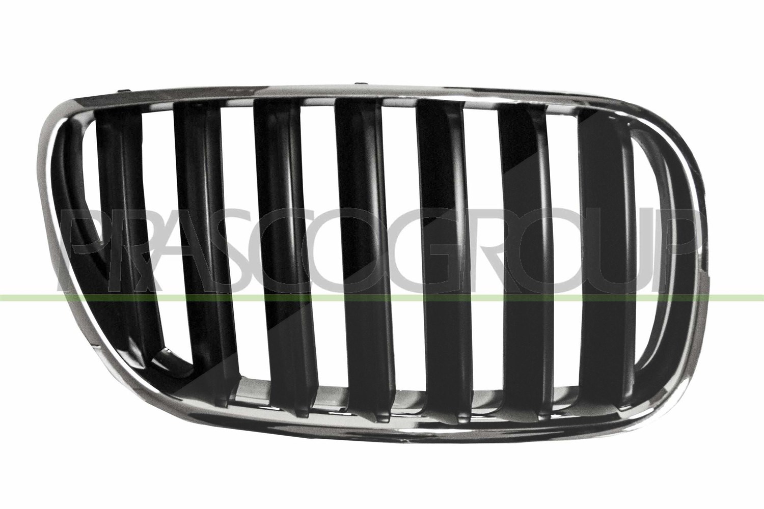 Prasco Kühlergitter [Hersteller-Nr. BM8032003] für BMW