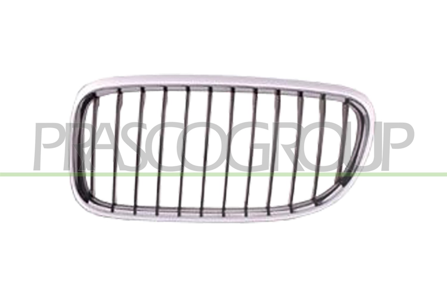 Prasco Kühlergitter [Hersteller-Nr. BM0262004] für BMW