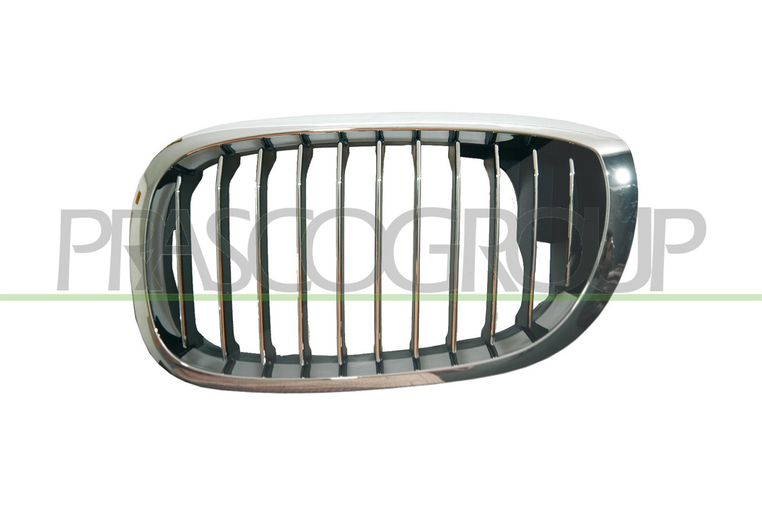 Prasco Kühlergitter [Hersteller-Nr. BM0212014] für BMW