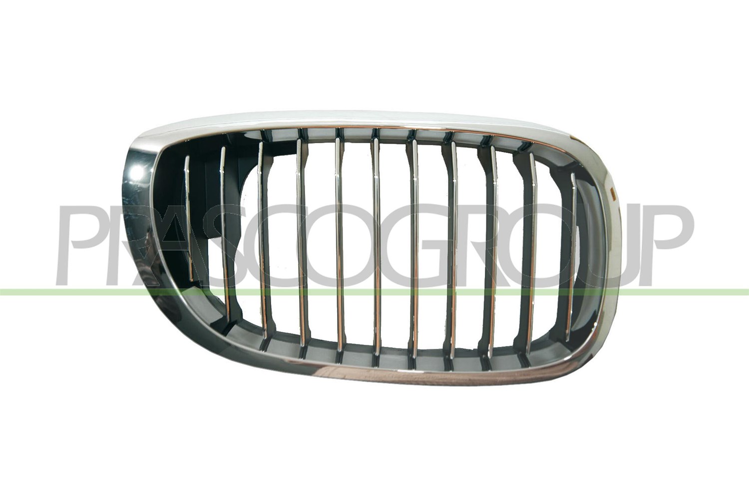 Prasco Kühlergitter [Hersteller-Nr. BM0212013] für BMW