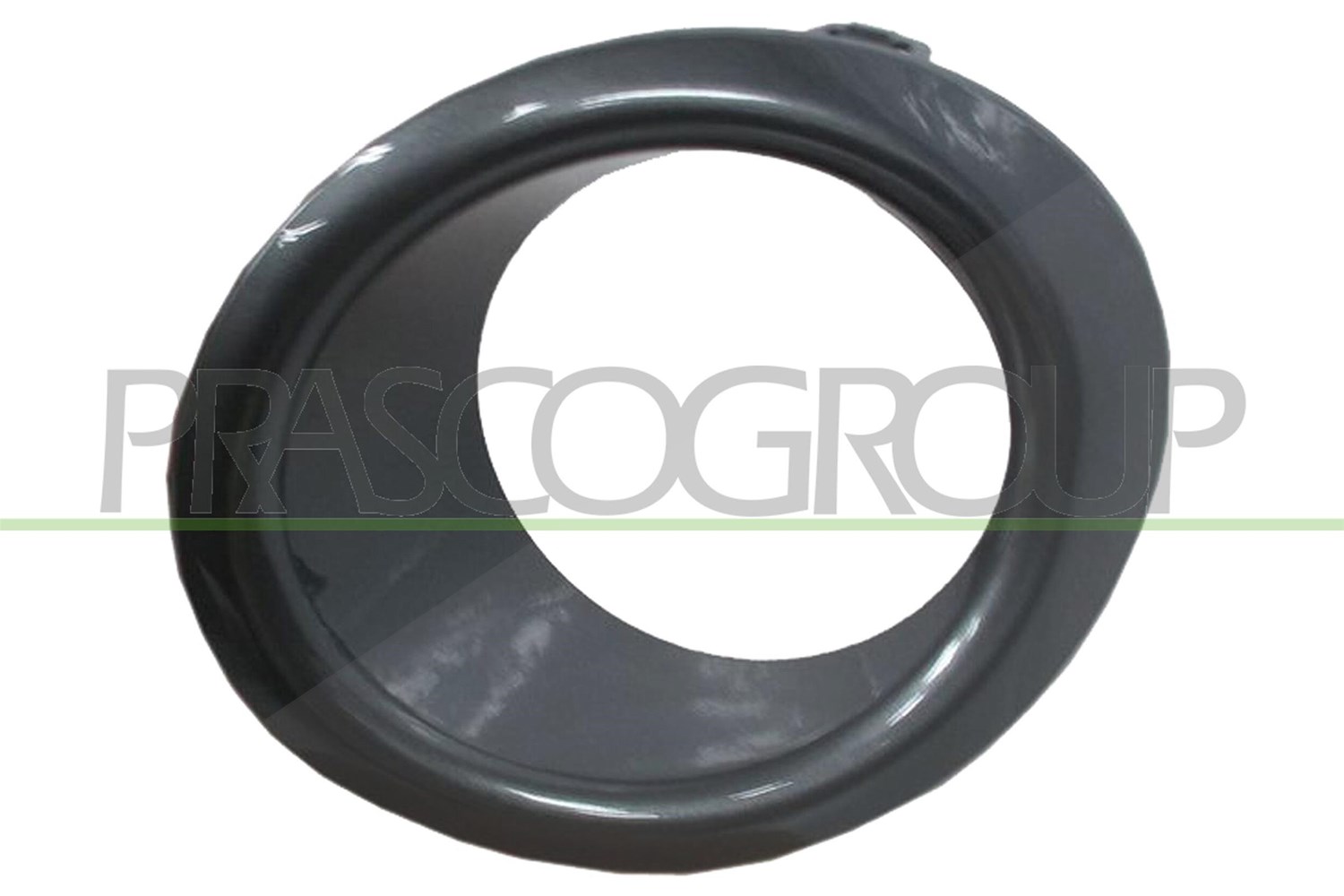 Prasco Rahmen, Nebelscheinwerfer [Hersteller-Nr. DS3501242] für Nissan