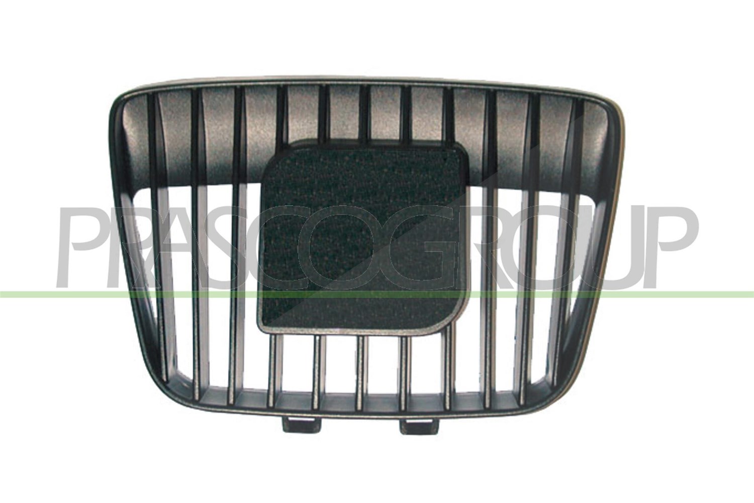 Prasco Kühlergitter [Hersteller-Nr. ST0312001] für Seat