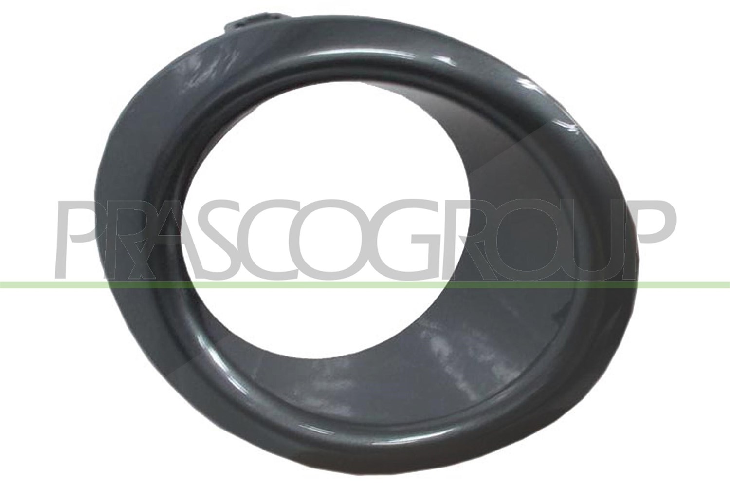 Prasco Rahmen, Nebelscheinwerfer [Hersteller-Nr. DS3501241] für Nissan
