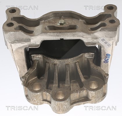 Triscan Lagerung, Motor [Hersteller-Nr. 850516121] für Ford