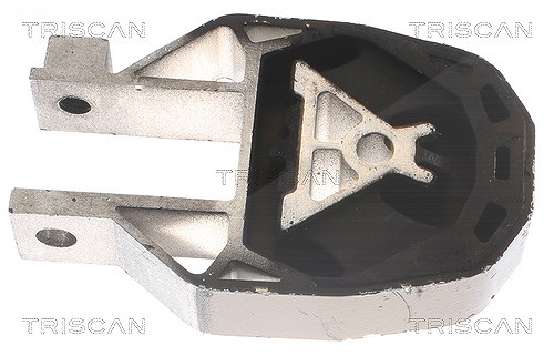 Triscan Lagerung, Motor [Hersteller-Nr. 850510204] für Ford, Mazda, Volvo