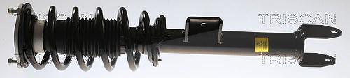 TRISCAN 870581102 Stoßdämpfer Stossdämpfer für Tesla - Bild 3