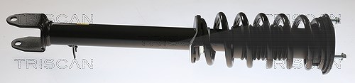 TRISCAN Stoßdämpfer 8705 81106 für Tesla - Bild 4