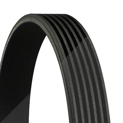 Continental Ctam Keilrippenriemen [Hersteller-Nr. 6PK836]