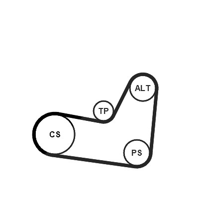 Continental Ctam Keilrippenriemensatz [Hersteller-Nr. 6PK1070K2] für VW, Seat, Skoda