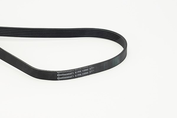 Continental Ctam Keilrippenriemen [Hersteller-Nr. 6PK1590] für Opel, Renault, Subaru, Lancia, Ford, VW, Peugeot, Fiat, Audi, Citroën, Vauxhall, Seat