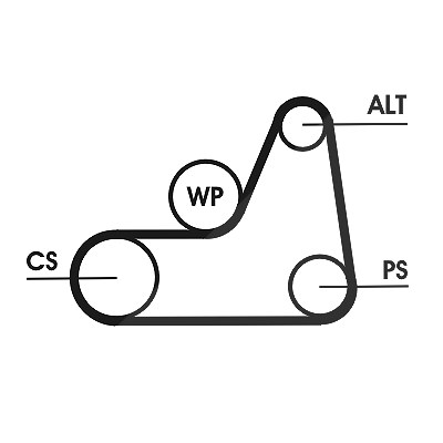 Continental Ctam Keilrippenriemensatz [Hersteller-Nr. 6PK1042ELASTT1] für Ford, Mazda