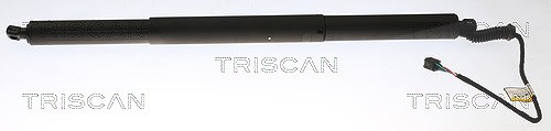 TRISCAN 871011360 Gasfeder für Koffer-/Laderaum Gasfeder Gasdämpfer für BMW - Bild 3