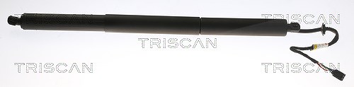 Triscan Gasfeder, Koffer-/Laderaum [Hersteller-Nr. 871020304] für Porsche