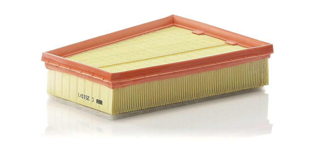 Mann-filter Luftfilter [Hersteller-Nr. C2510/1] für Renault, Nissan, Mercedes-Benz