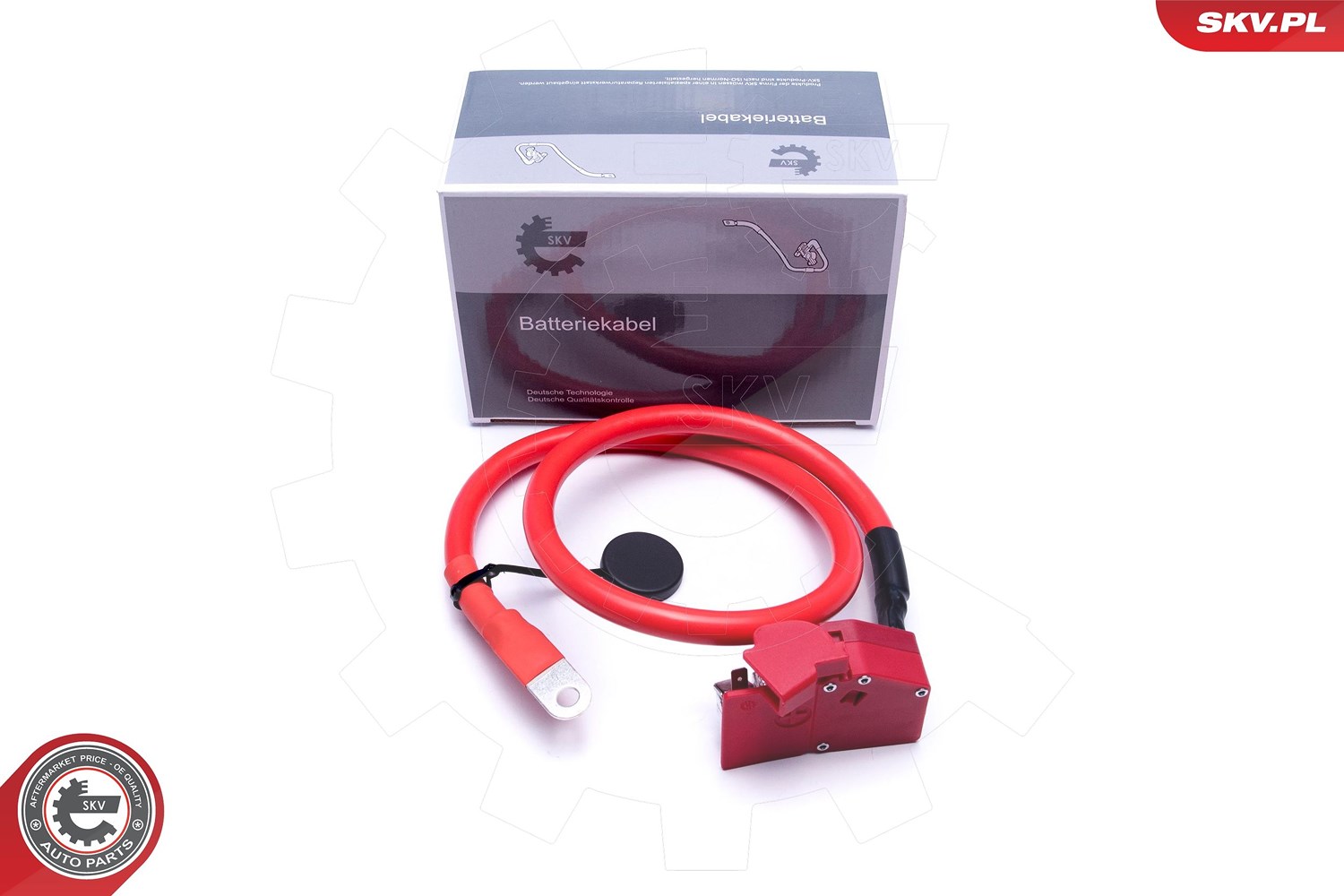Esen Skv Batterieadapter 96Skv314 Für Bmw - Bild 3