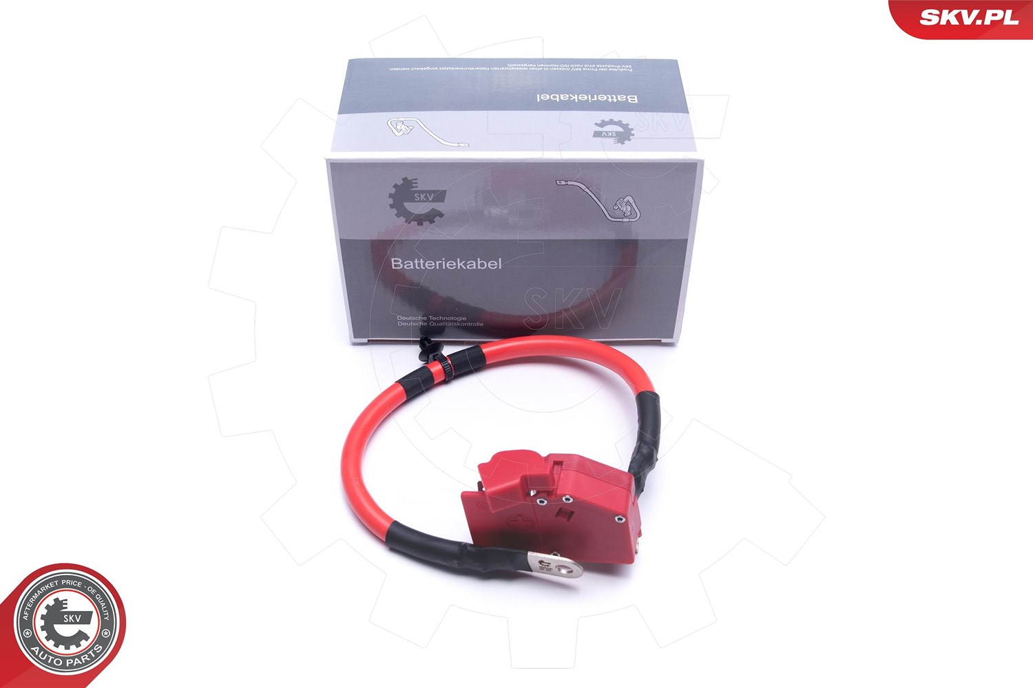 Esen Skv Batterieadapter [Hersteller-Nr. 96SKV316] für BMW