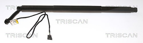 Triscan Gasfeder, Koffer-/Laderaum [Hersteller-Nr. 871011311] für BMW
