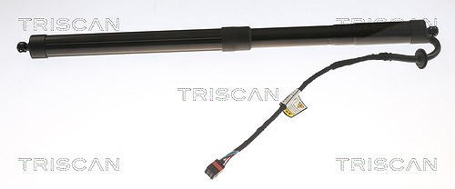 Triscan Gasfeder, Koffer-/Laderaum [Hersteller-Nr. 871017303] für Land Rover