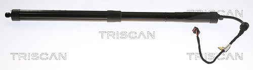 Triscan Gasfeder, Koffer-/Laderaum [Hersteller-Nr. 871029301] für VW
