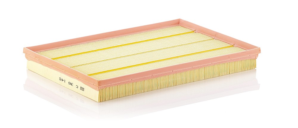 Mann-filter Luftfilter [Hersteller-Nr. C36145] für BMW