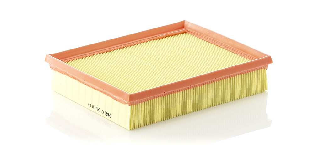Mann-filter Luftfilter [Hersteller-Nr. C25015] für Renault