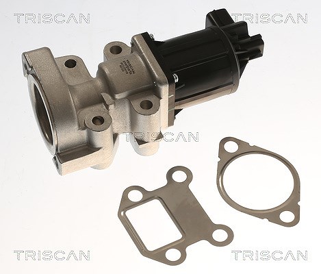 Triscan AGR-Ventil [Hersteller-Nr. 881324018] für Vauxhall, Opel