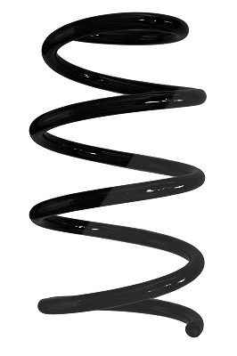 Spidan Fahrwerksfeder [Hersteller-Nr. 86546] für Renault