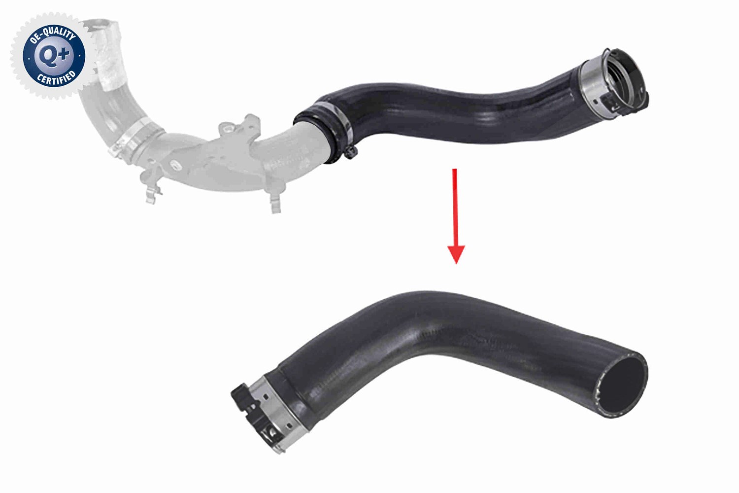 Vaico Ladeluftschlauch [Hersteller-Nr. V46-1725] für Renault, Dacia