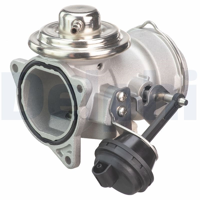 Delphi AGR-Ventil [Hersteller-Nr. EG10420-12B1] für VW, Seat, Skoda, Audi