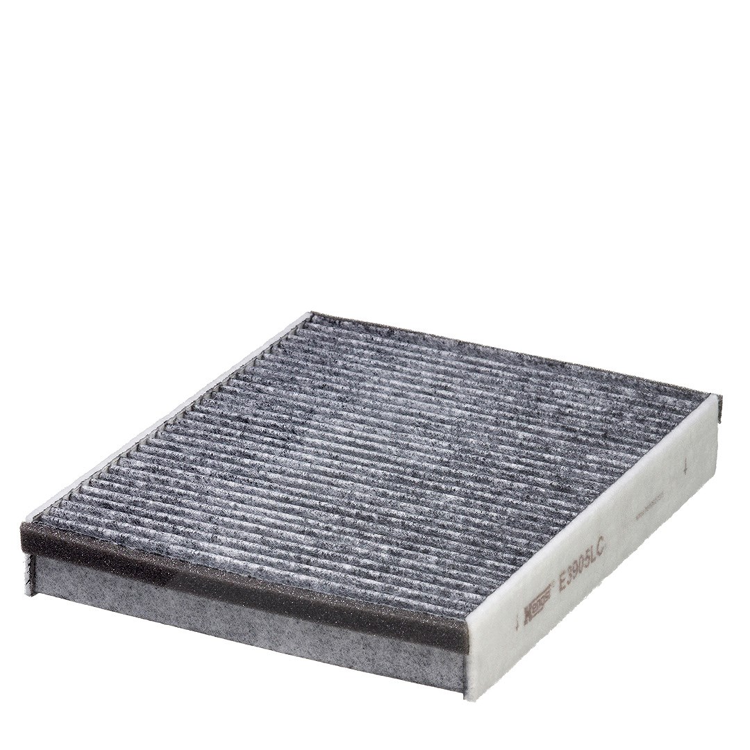 Hengst Filter Filter, Innenraumluft [Hersteller-Nr. E3905LC] für Ford, Volvo