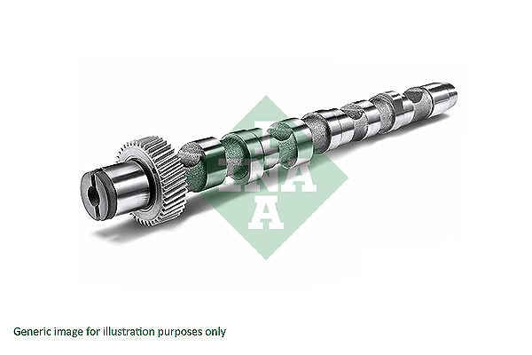 Schaeffler Ina Nockenwelle [Hersteller-Nr. 428012410] für Dacia, Renault