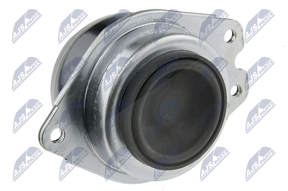 Nty Lagerung, Motor [Hersteller-Nr. ZPS-RE-060] für Renault