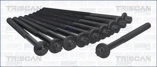 Triscan Zylinderkopfschraubensatz [Hersteller-Nr. 98-6011] für Nissan, Proton, Renault, Dacia