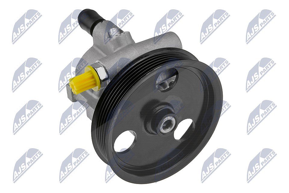 Nty Hydraulikpumpe, Lenkung [Hersteller-Nr. SPW-RE-006] für Dacia, Renault, Lada