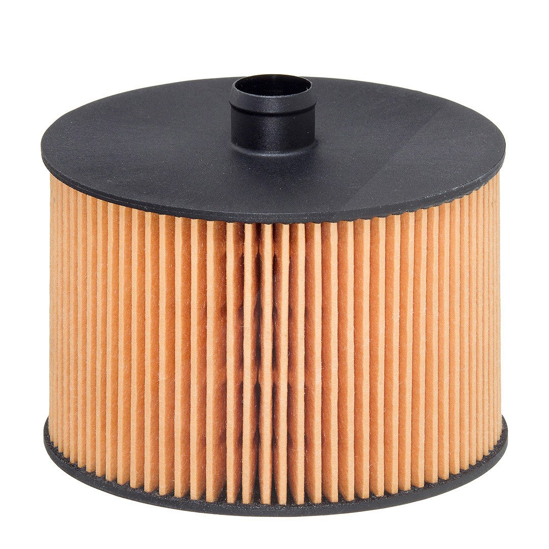 Hengst Filter Kraftstofffilter [Hersteller-Nr. E79KPD118] für Ford, Fiat, Lancia, Volvo, Peugeot, Citroën
