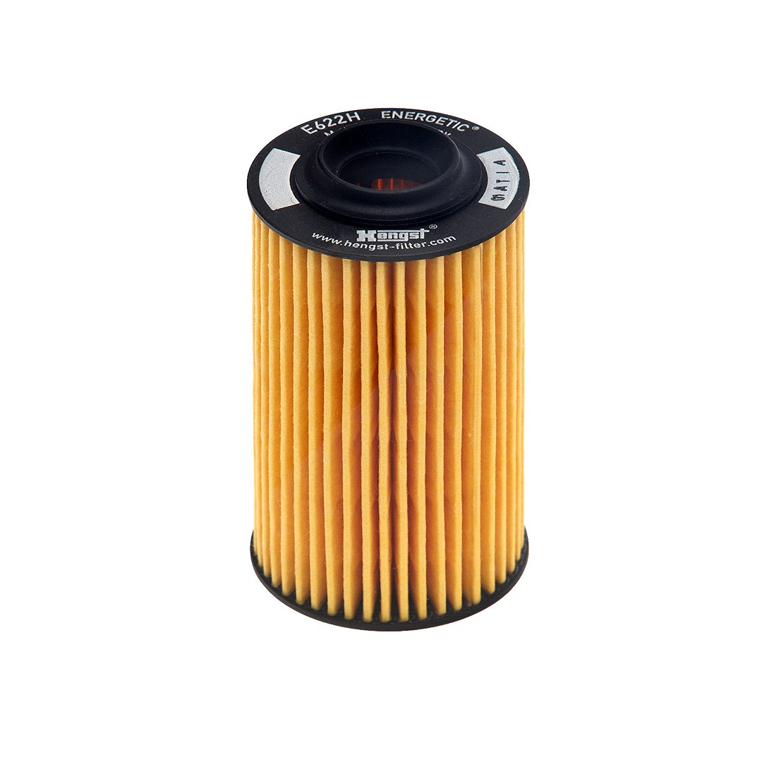Hengst Filter Ölfilter [Hersteller-Nr. E622HD145] für Buick, Oldsmobile, Vauxhall, Cadillac, Alfa Romeo, Chevrolet, Saab, Opel