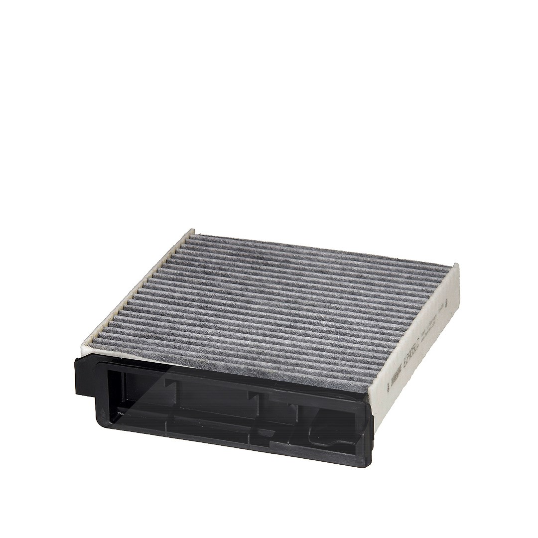 Hengst Filter Filter, Innenraumluft [Hersteller-Nr. E2905LC] für Lada, Dacia, Renault, Nissan