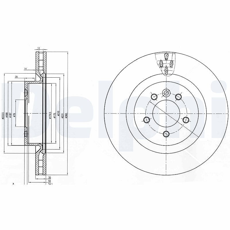 Delphi Bremsscheibe Vorderachse Belüftet [Hersteller-Nr. BG9007C] für Land Rover